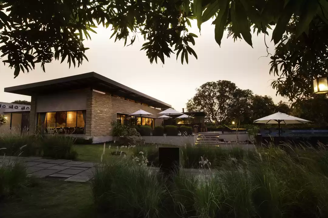 Photo of Biophilic accommodat