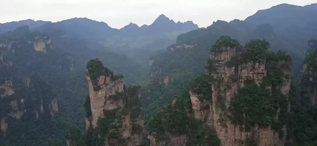 Photo of 2 Lǎowài in Zhangjia