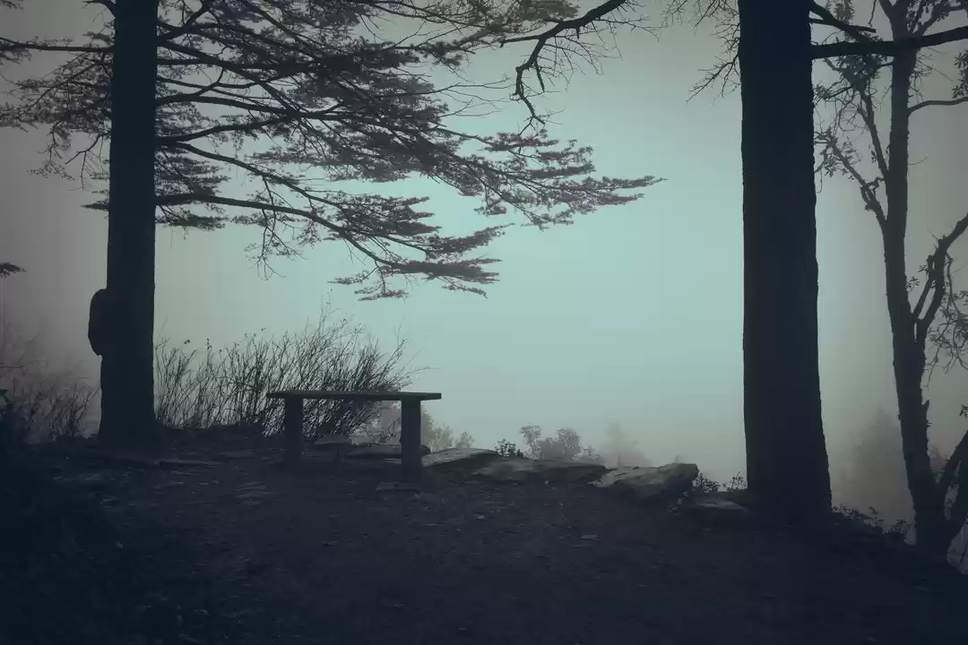 Photo of A Place Where You Me