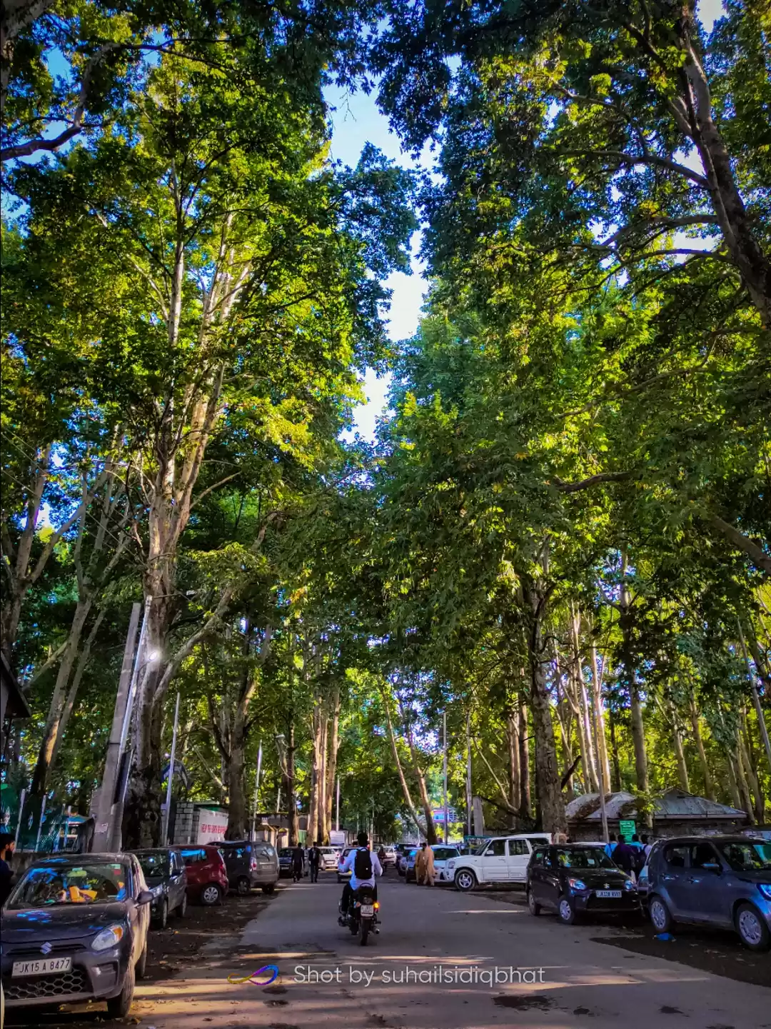 Photo of District of Lakes