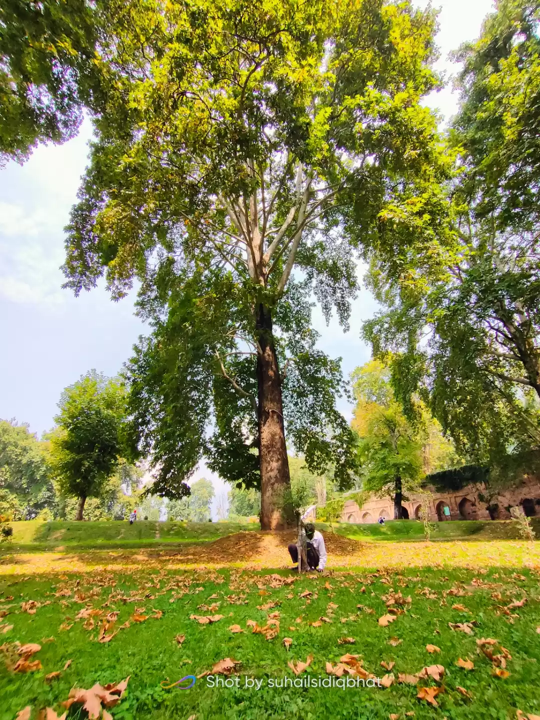 Photo of Nishat garden
