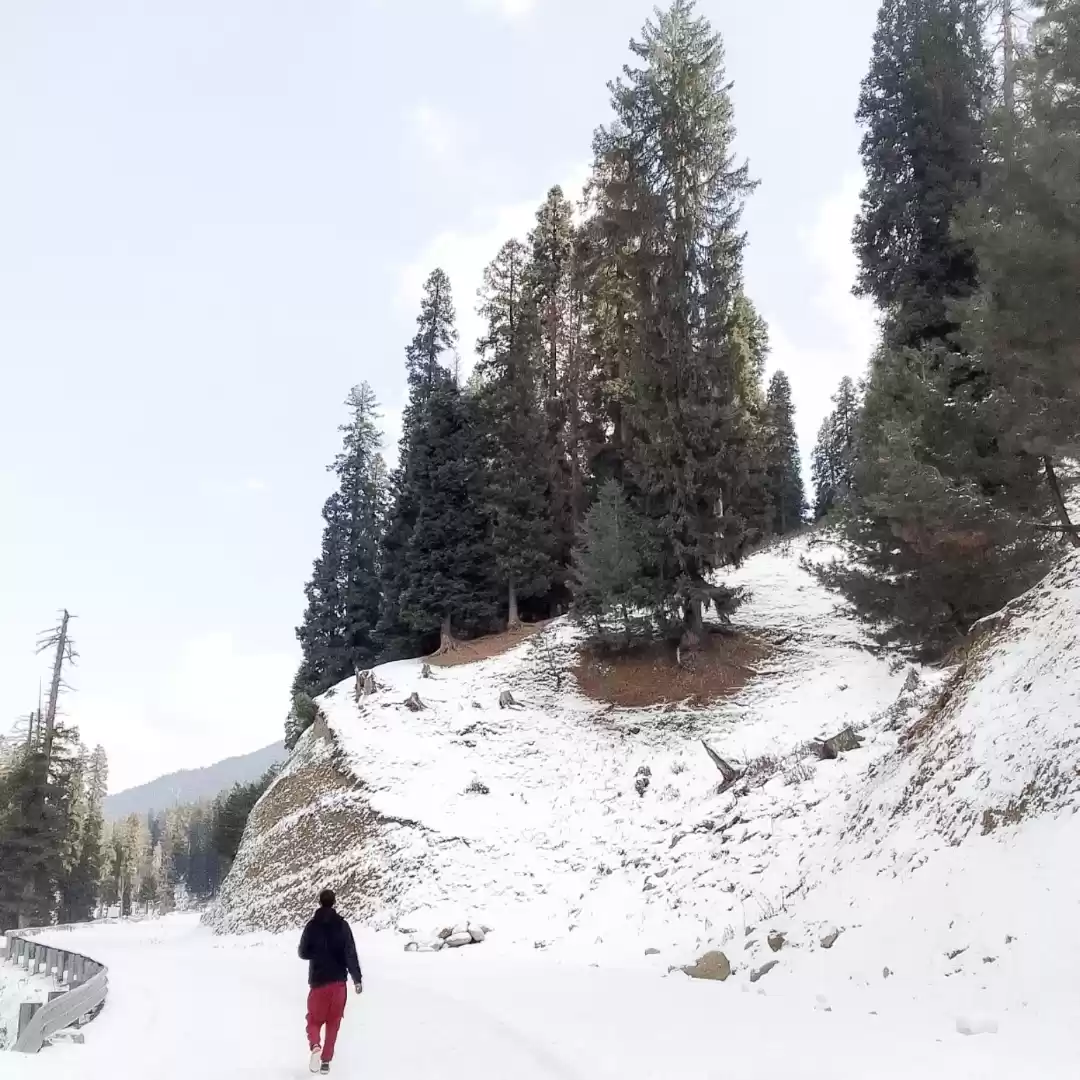 Photo of Mughal Road