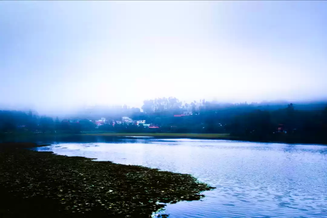 Photo of Yercaud Lake,Salem