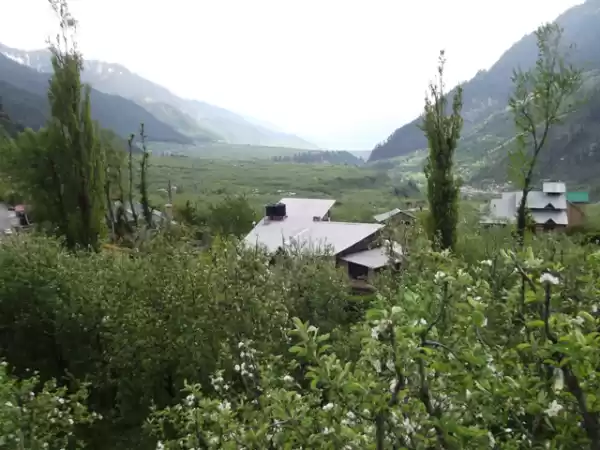 Photo of There's another, dar