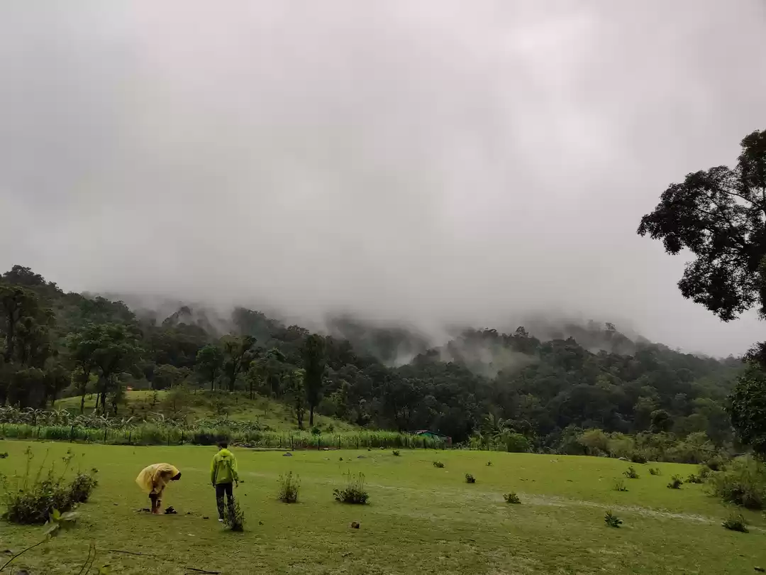 Photo of Trek to Kodachadri
