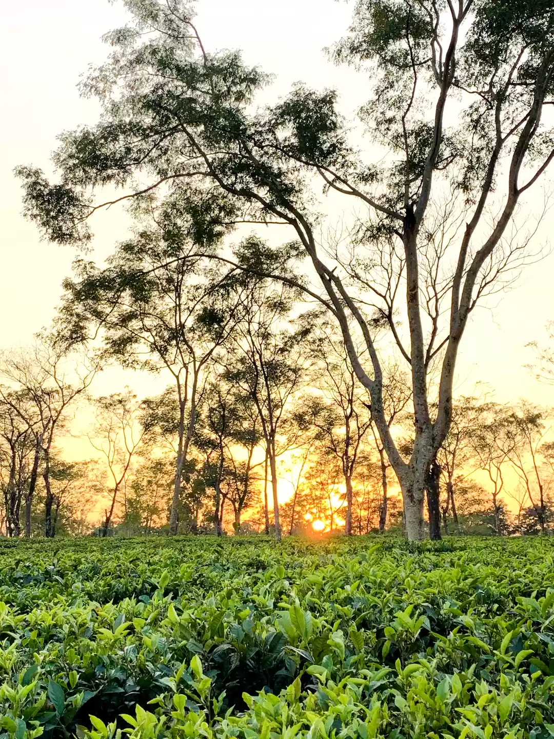 Photo of #triptodooars#travit