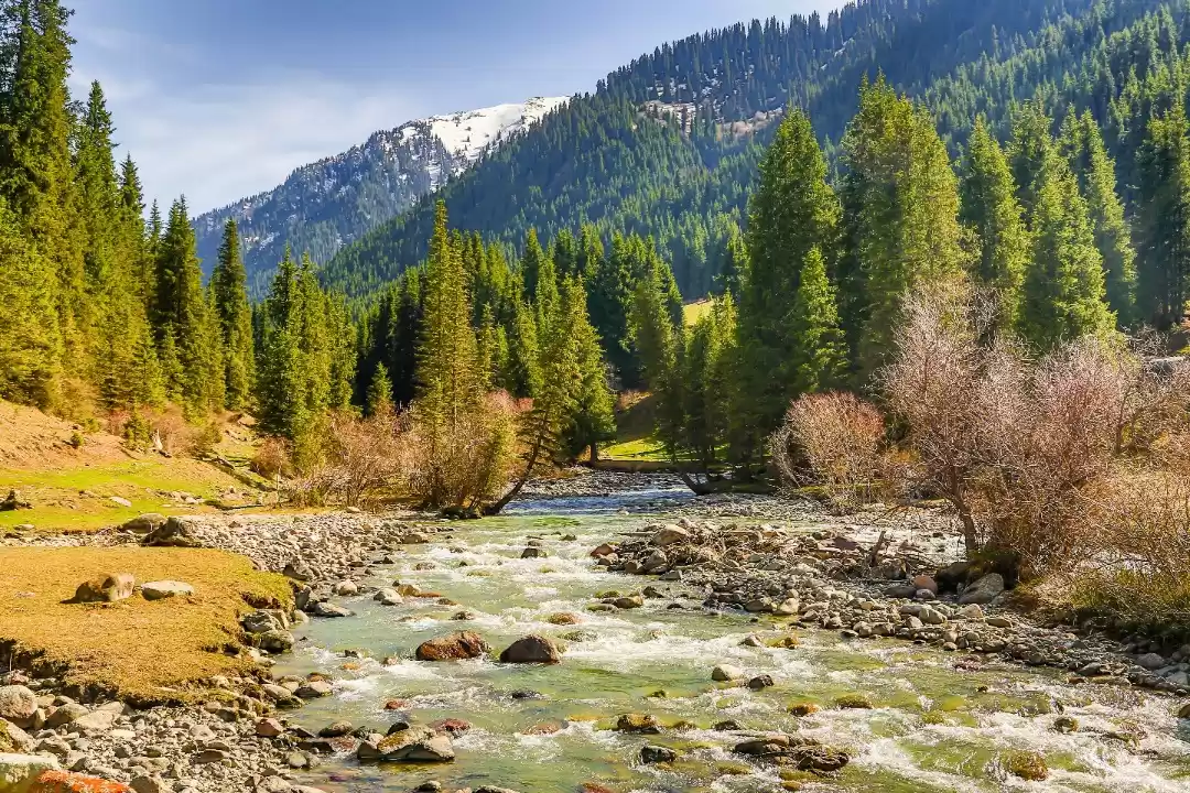 Photo of National park Ala-Ar
