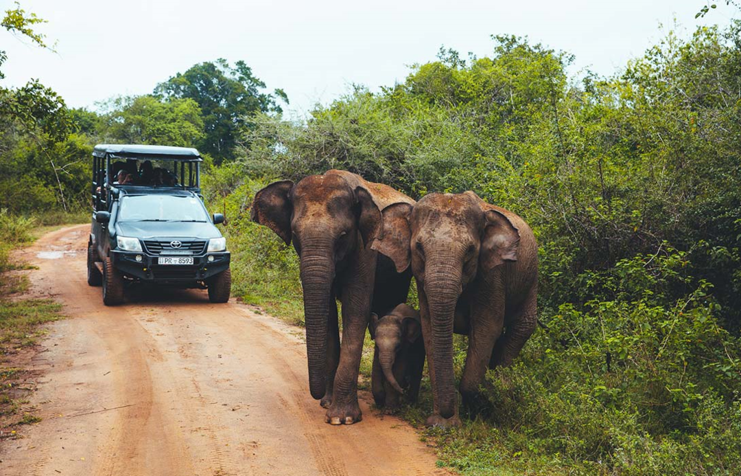 Photo of Adventures in the Hi