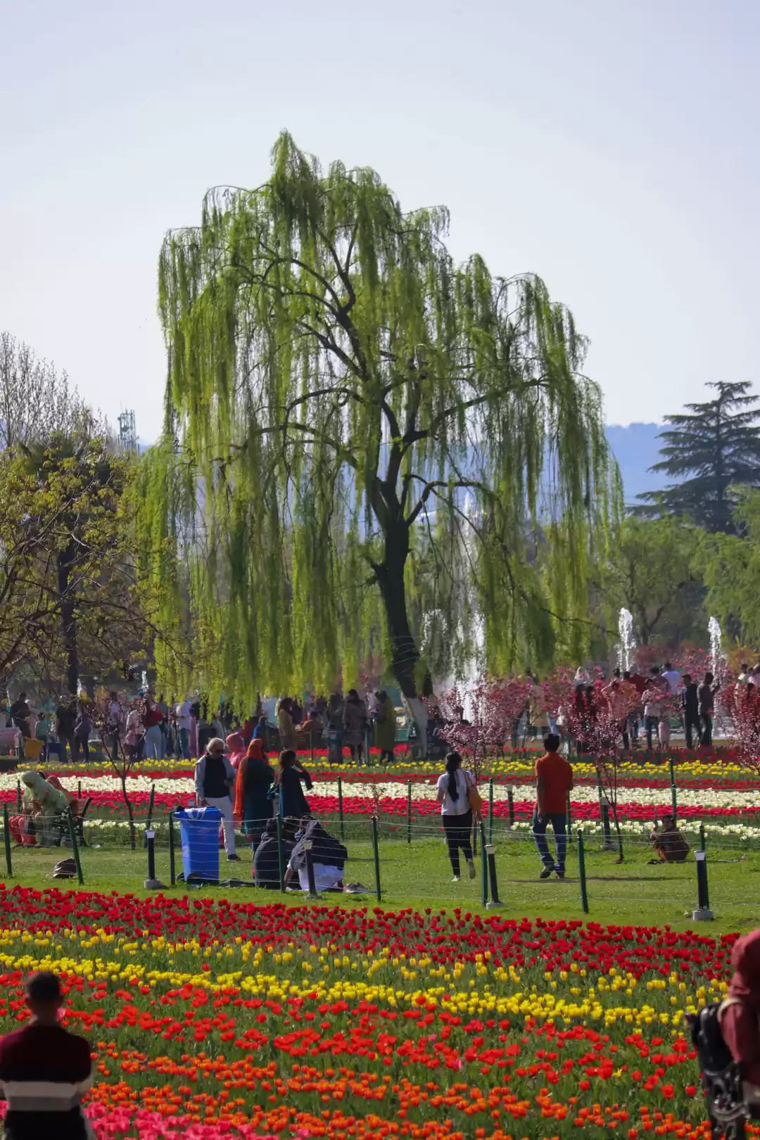 Photo of Indira Gandhi Memori