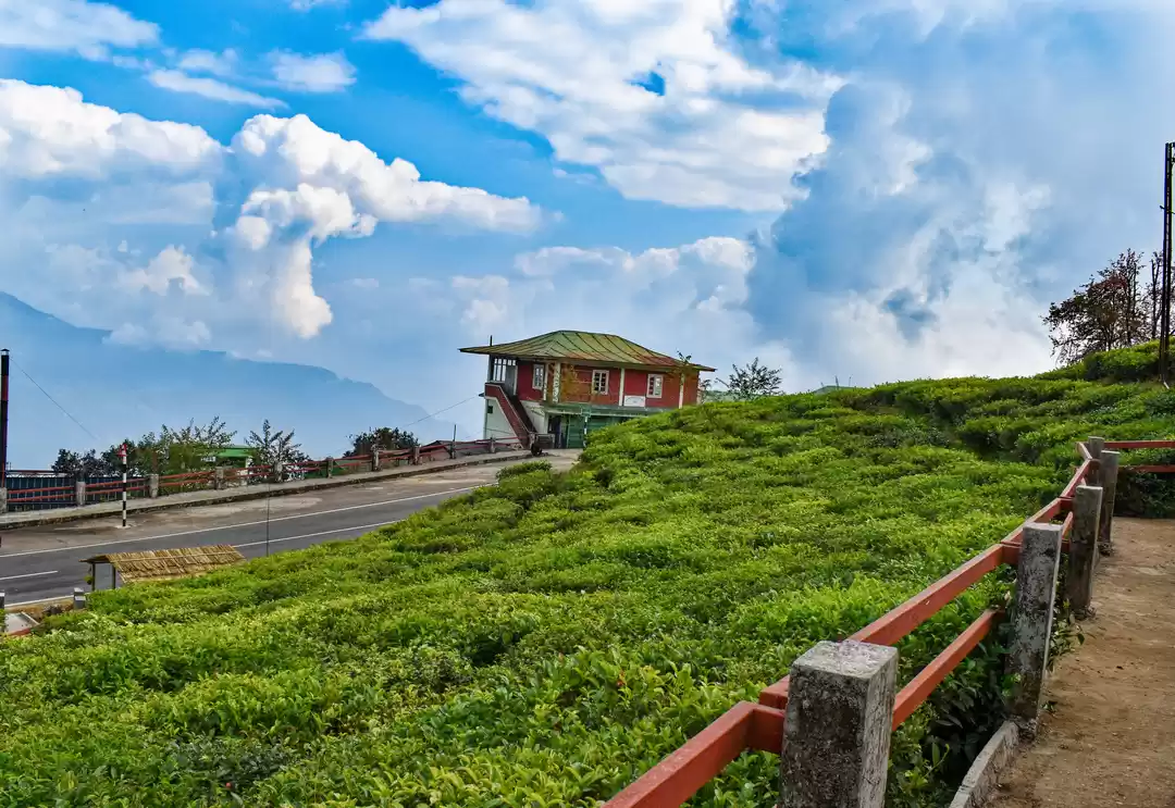 Photo of Most Scenic Tea Esta