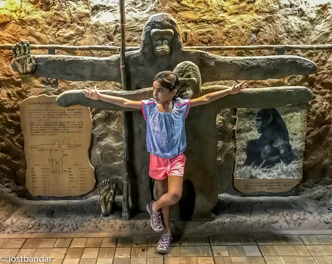 Photo of Japan with my 6 year