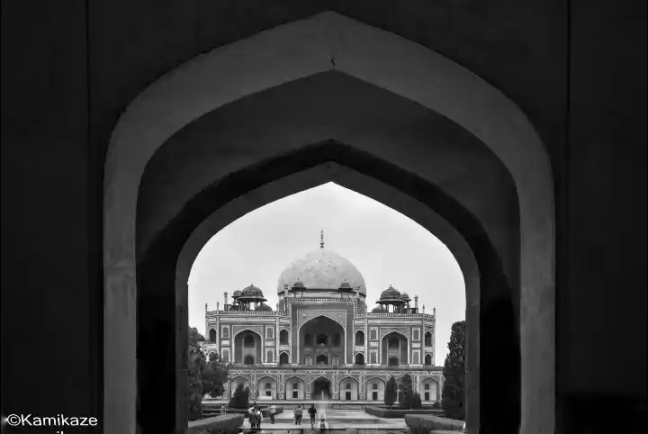 Photo of The Majestic Mugal b