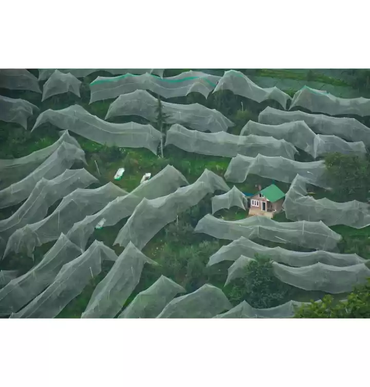 Photo of Apple Orchards #trip