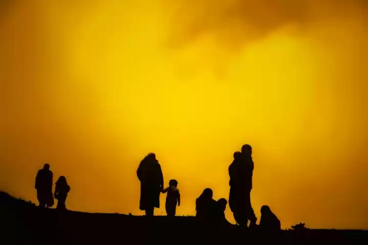 Photo of The Best Guides. #tr