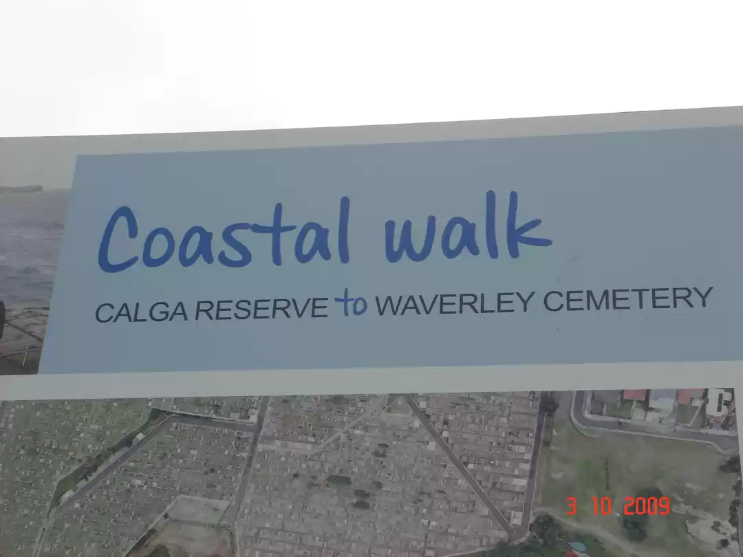 Photo of A Walk to Remember: 