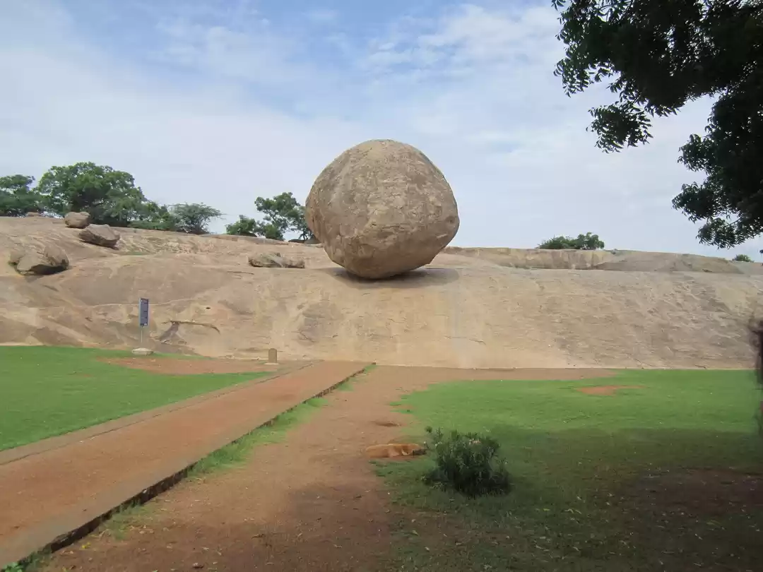 Photo of The Shore Sanctuary: