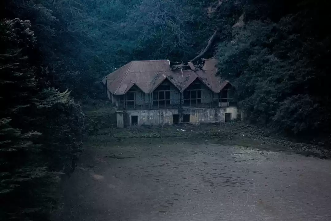 Photo of Travel blog