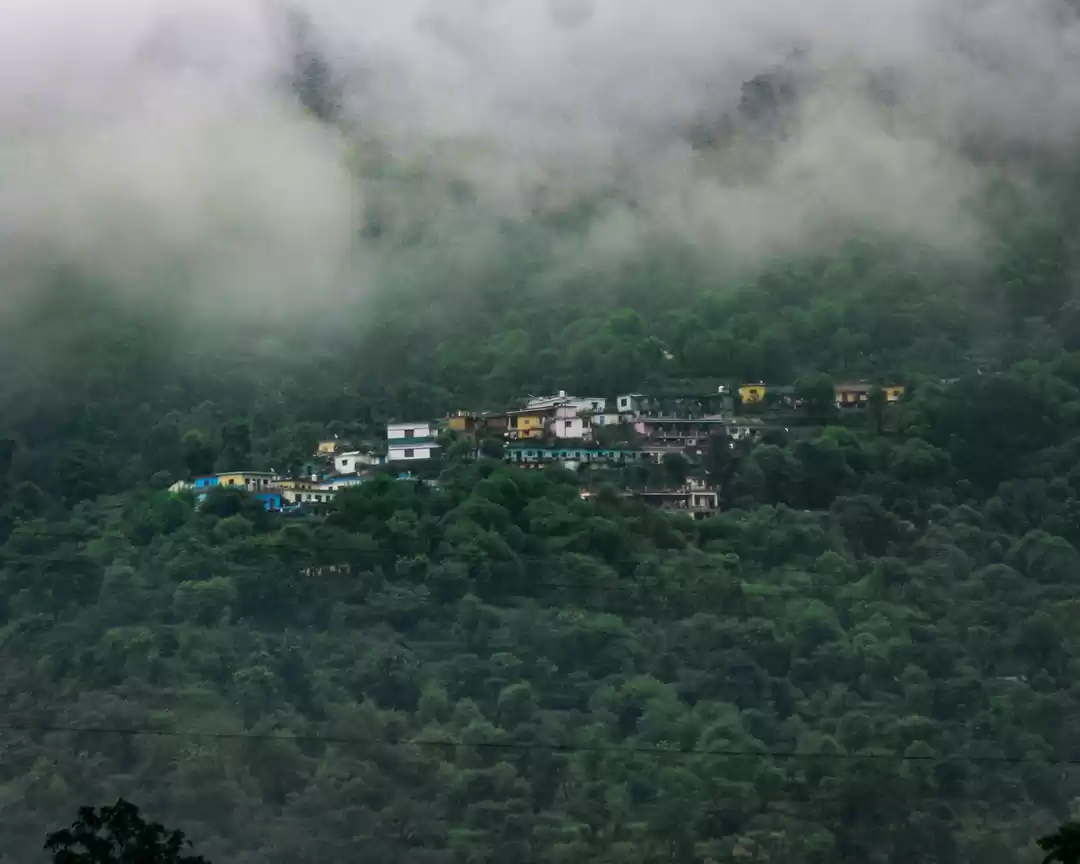 Photo of Pahadi