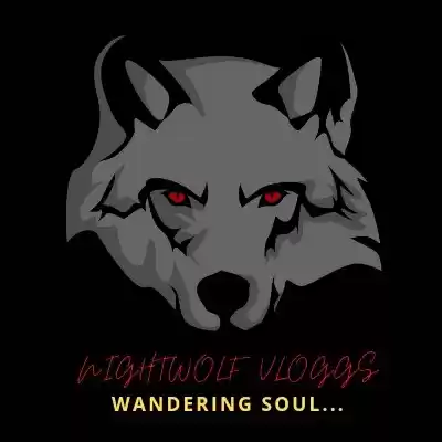 Photo of night wolf vlogs