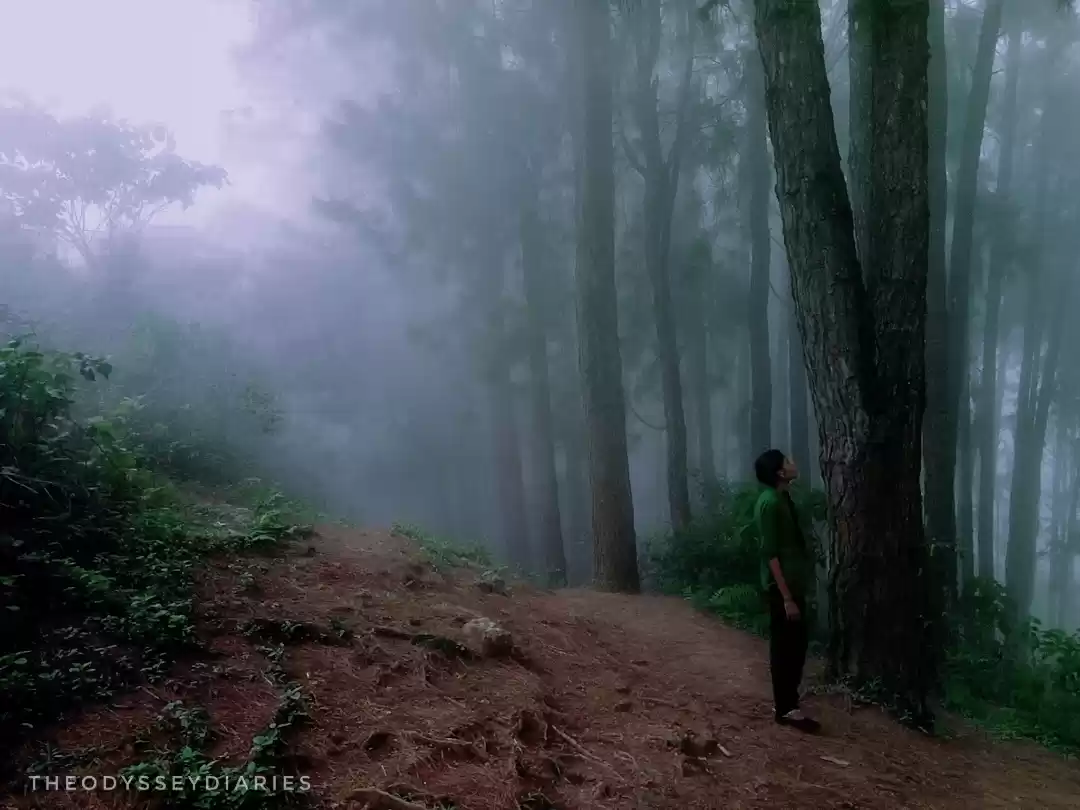 Photo of Foggy Vagamon