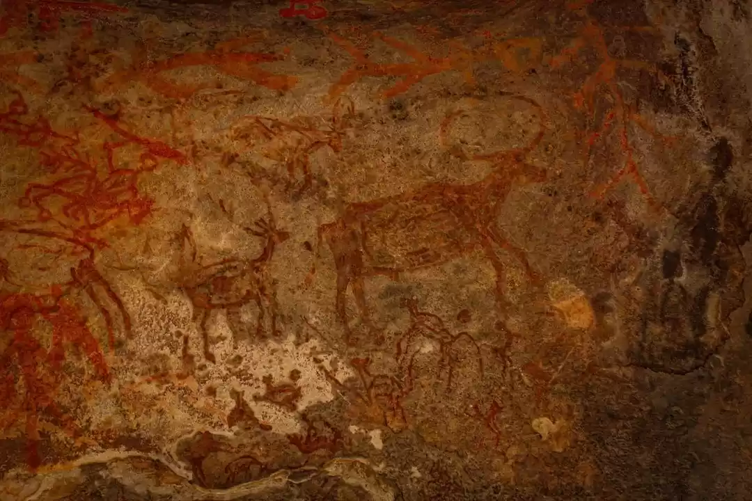 Photo of A journey to the old