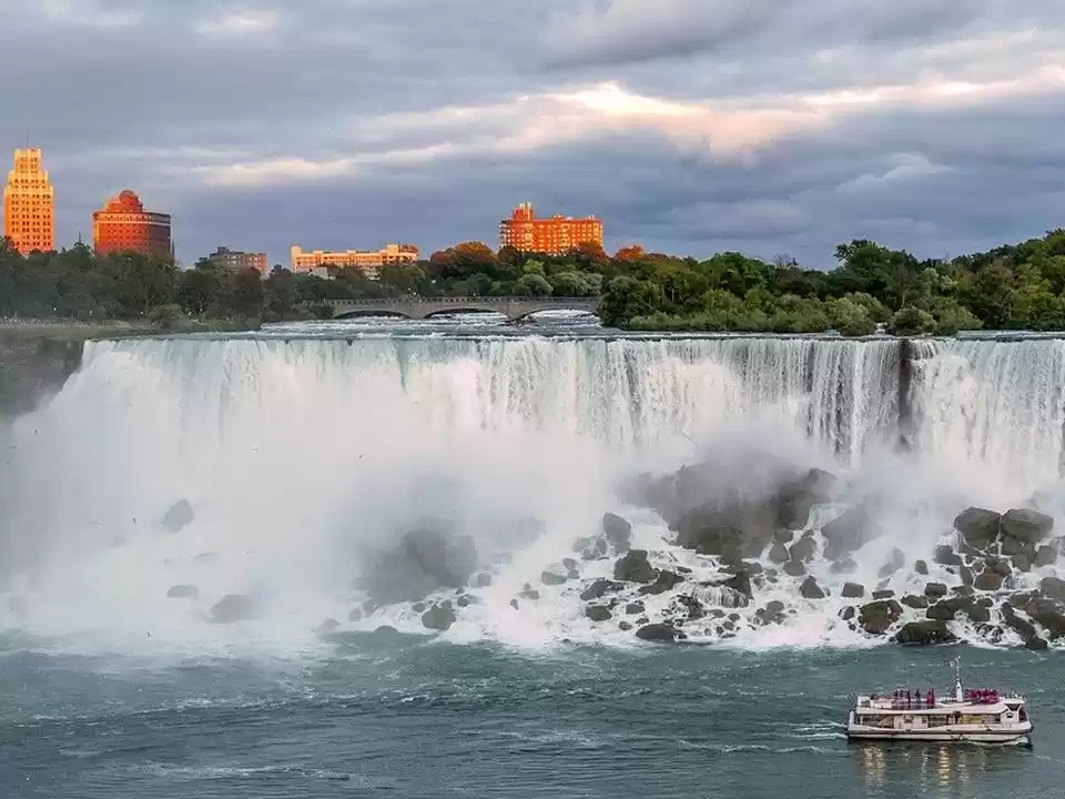 Photo of Alex Arrash Alex ||