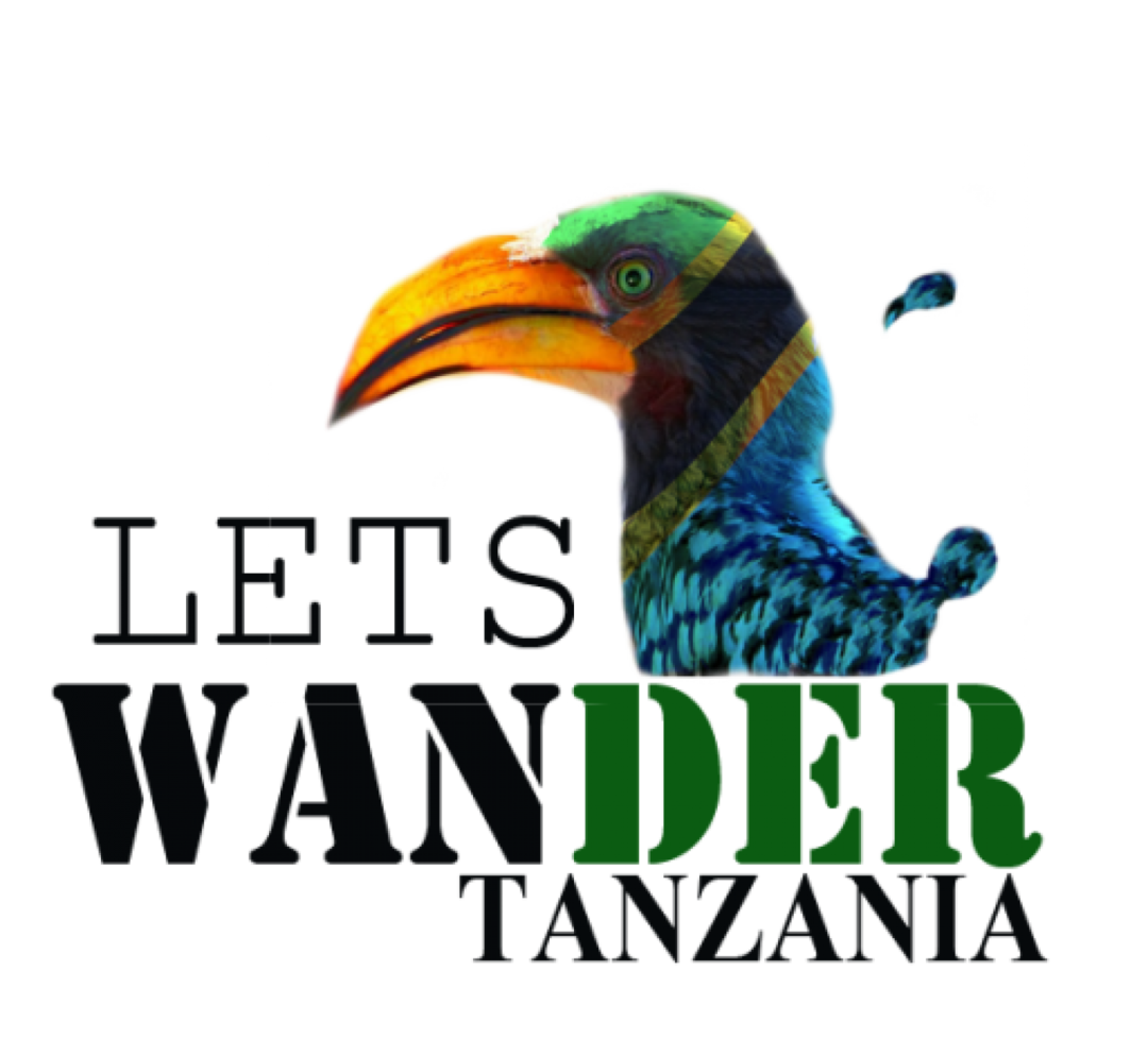 Photo of Lets wander Tanzania