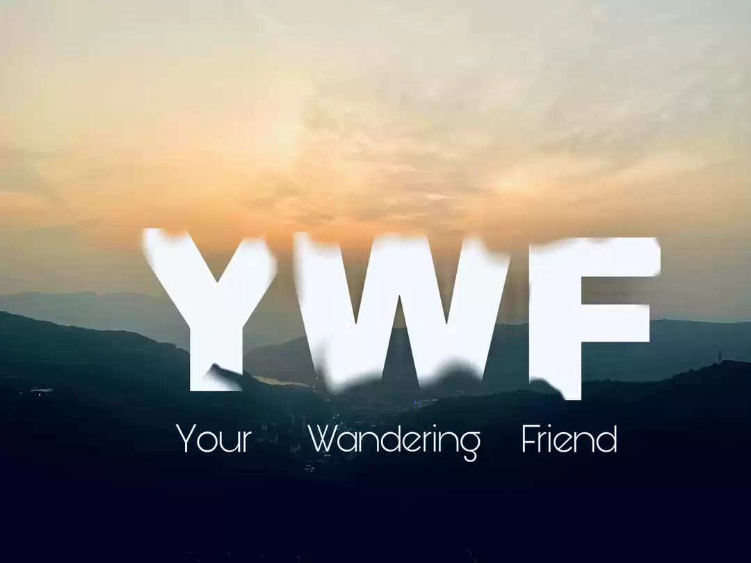 Photo of Your wandering Friend