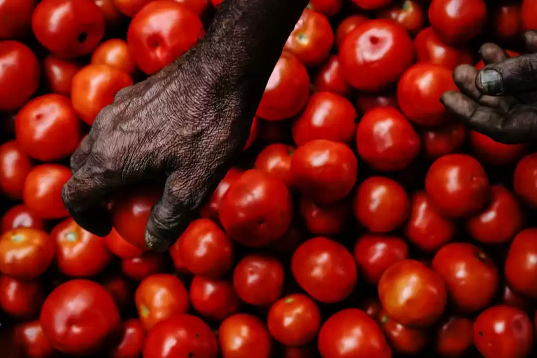 Photo of The textures reveal 