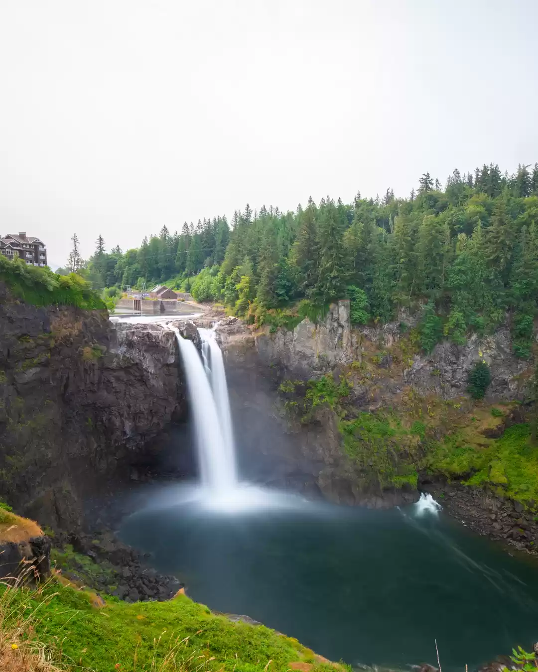 Photo of Evergreen