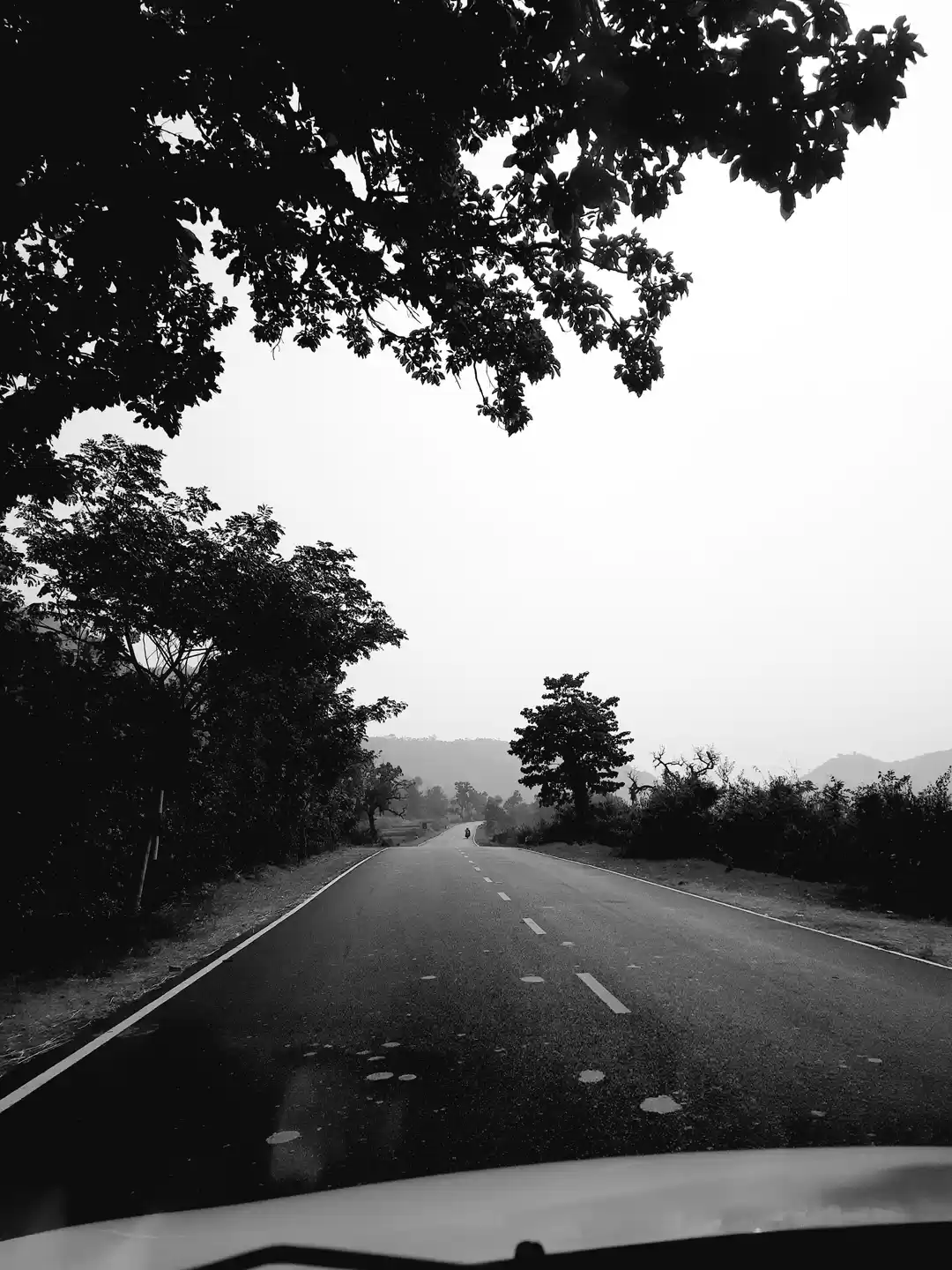 Photo of Road trips are alway