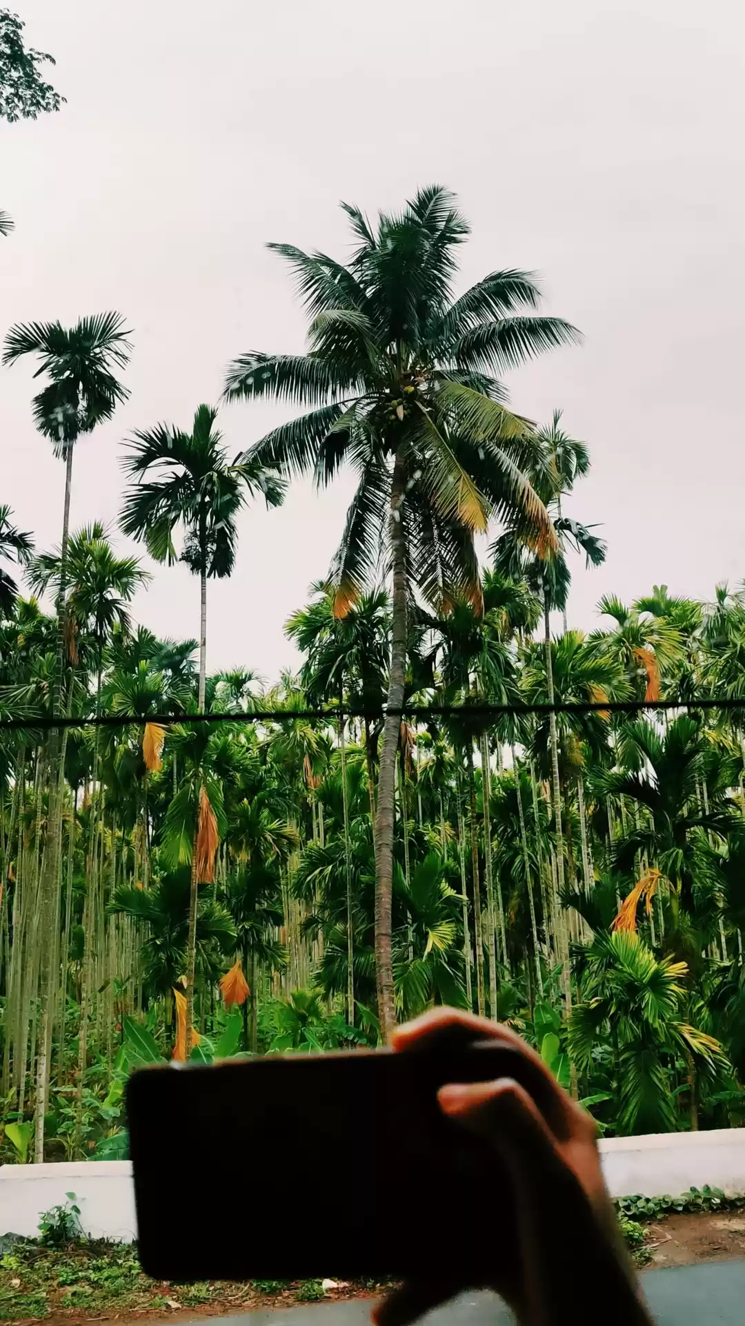 Photo of Vanakkam India!🙏
#t