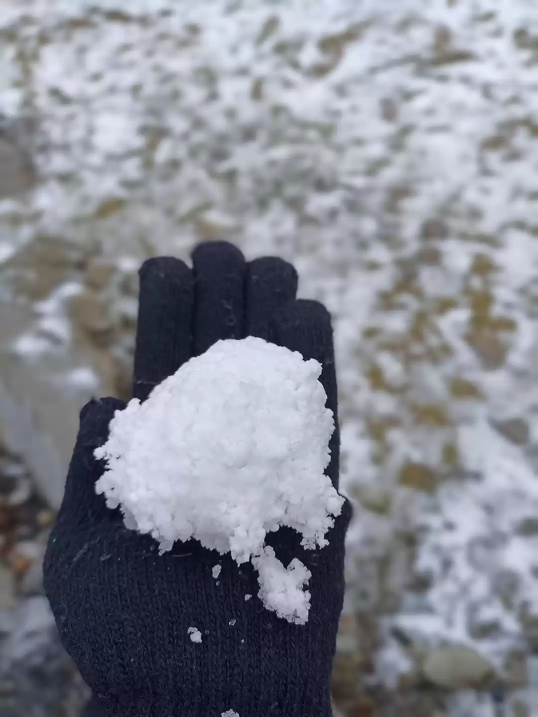 Photo of Dalhousie - Here We