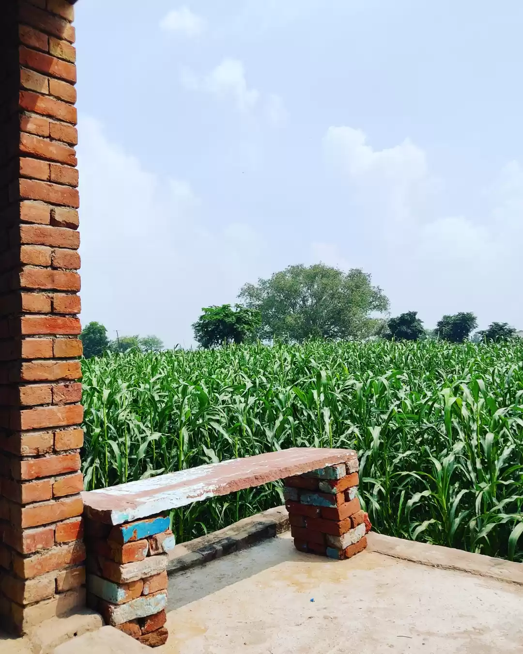 Photo of Apne gaon mein | Gre