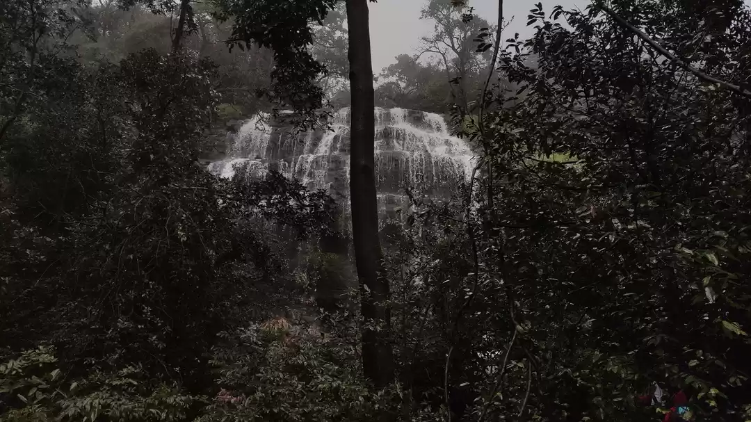 Photo of A WEEK'S WORTH IN 2