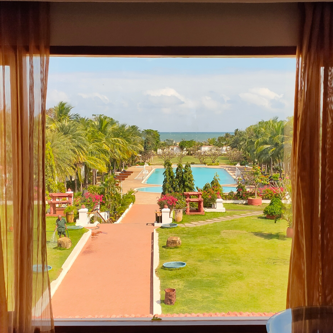 Photo of A Short and Sweet We