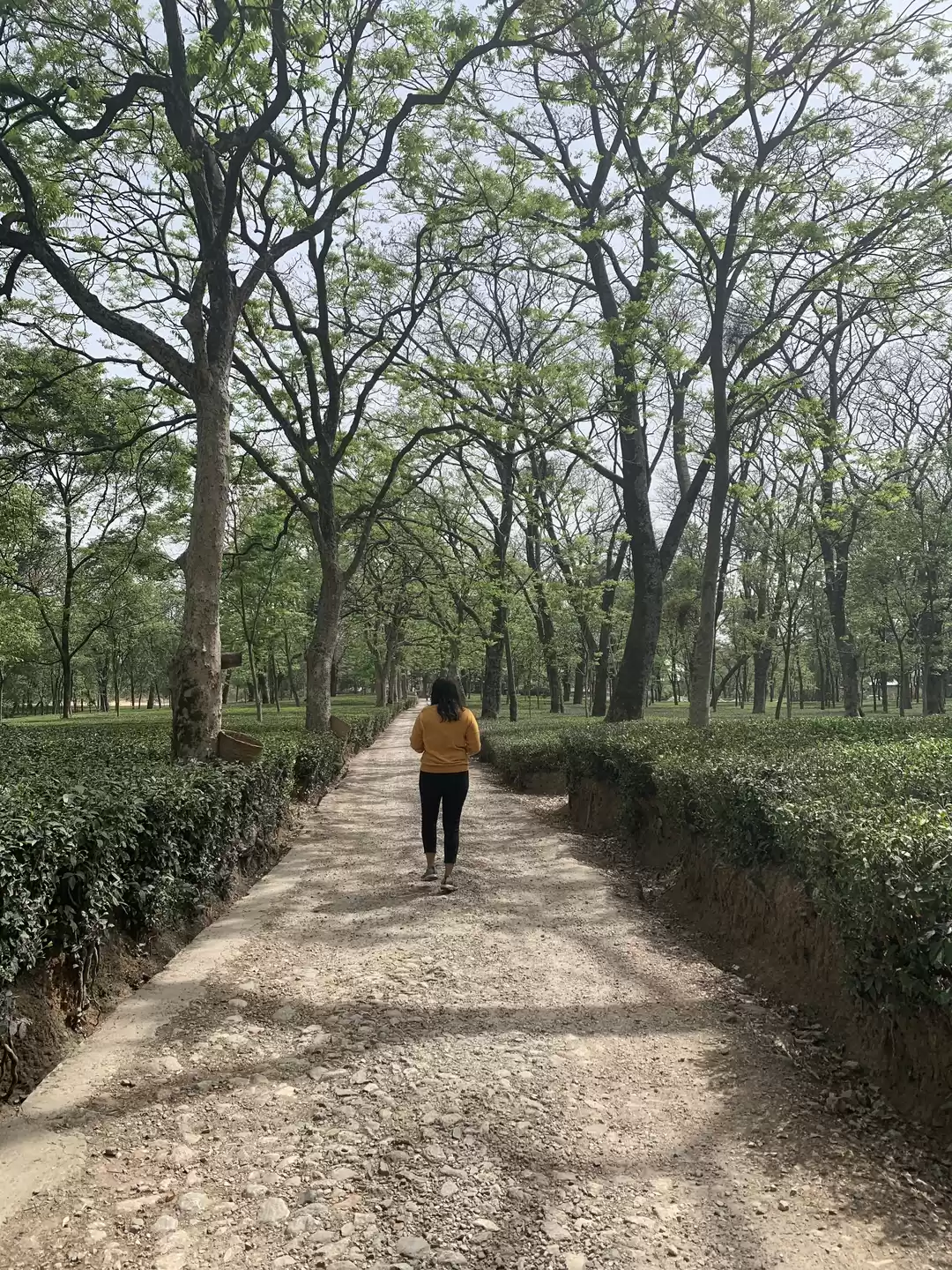 Photo of Muskaan Bhatia