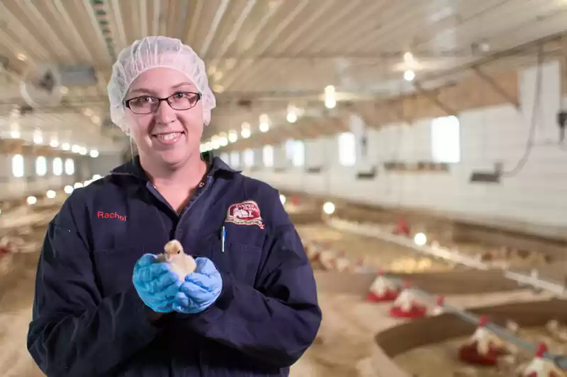 Photo of 9 Ultimate Reasons W