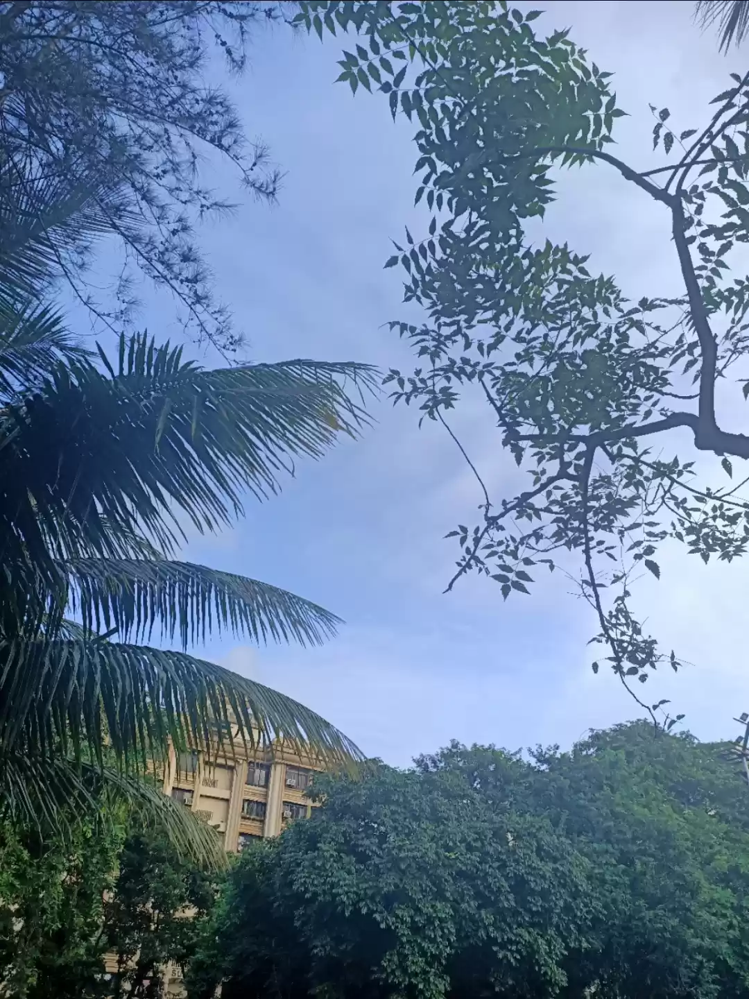 Photo of Suburban beauty