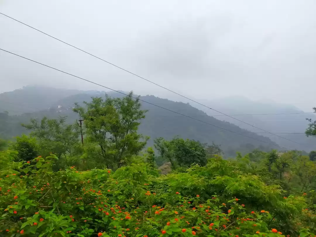 Photo of Love the atmosphere 