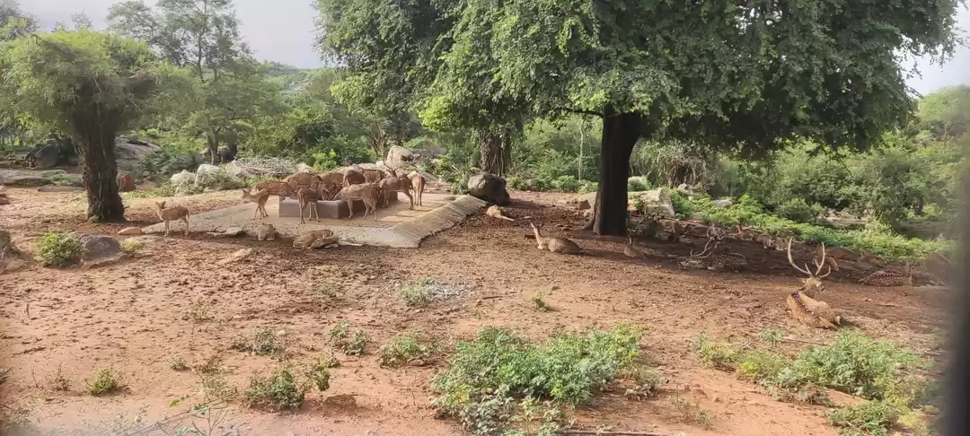 Photo of बेहद खूबसूरत है भारत