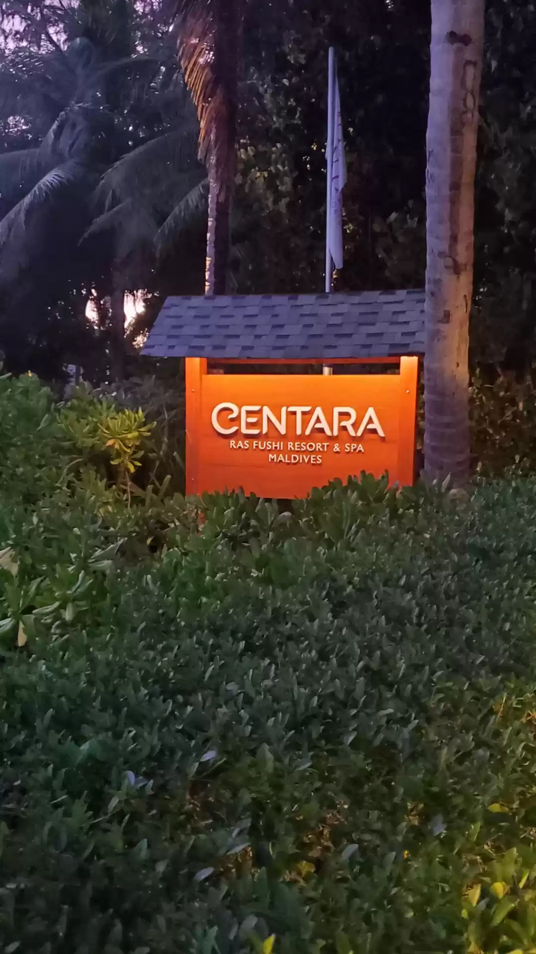 Photo of Exotic Honeymoon Get