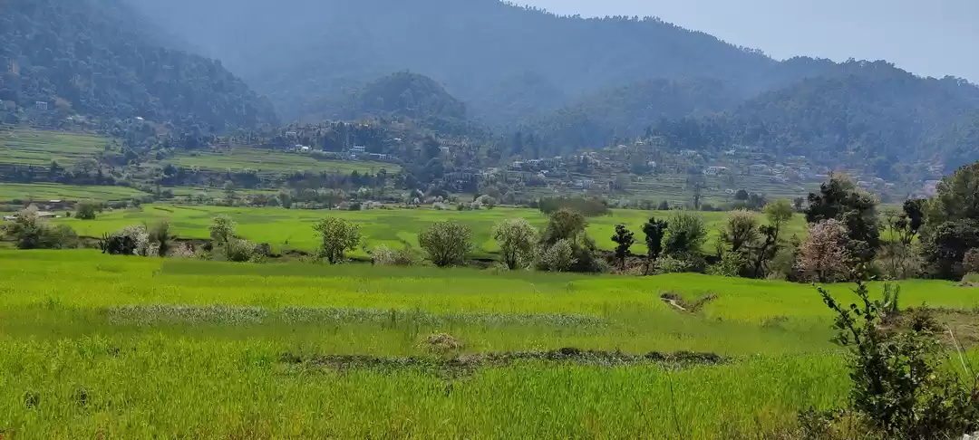 Photo of Kausani - Magical co