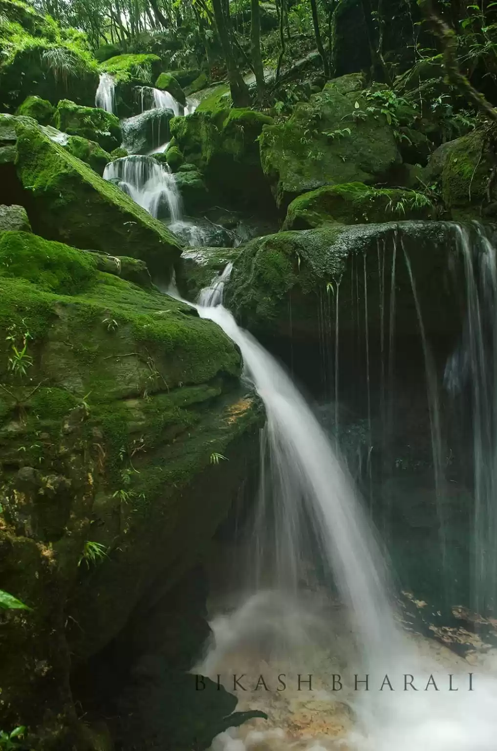Photo of Garden of Caves