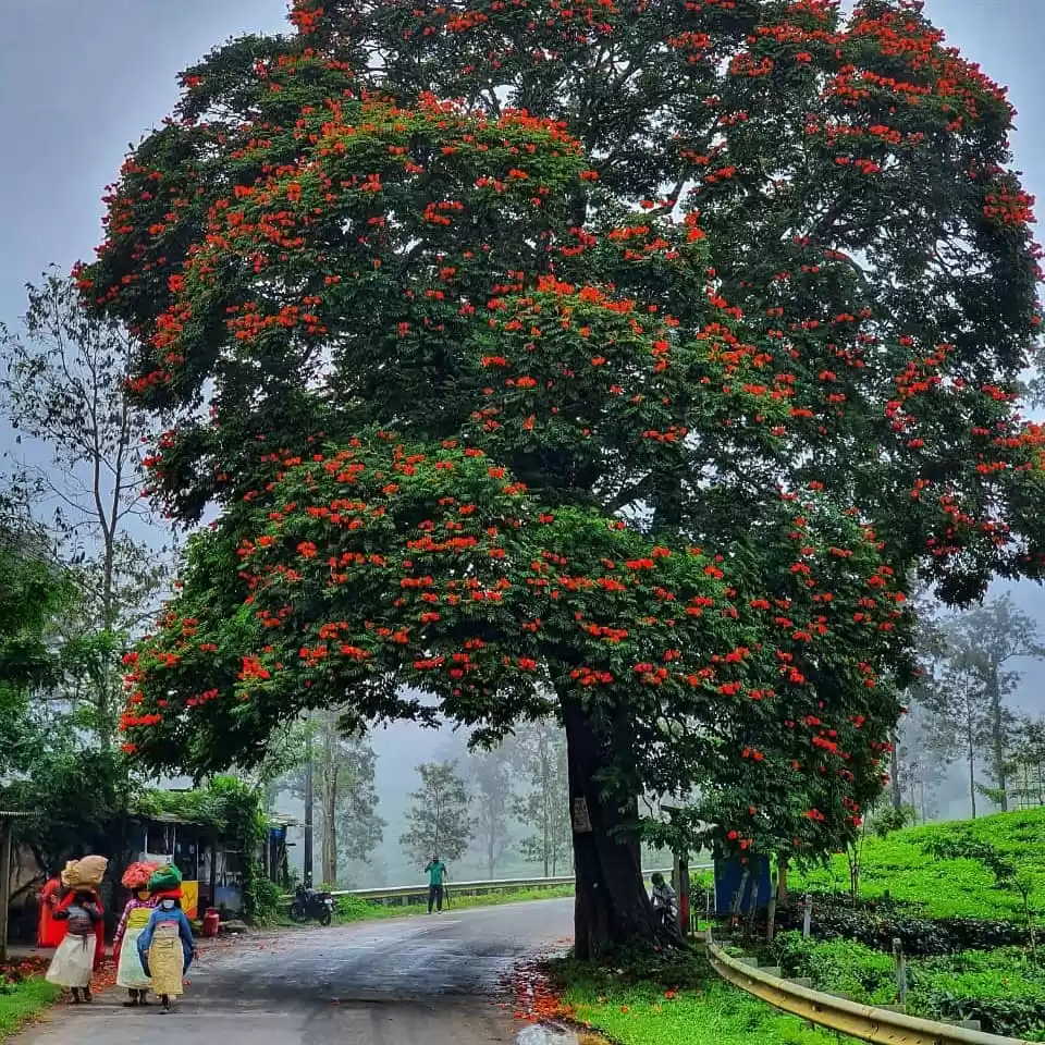 Photo of Arun Xsight