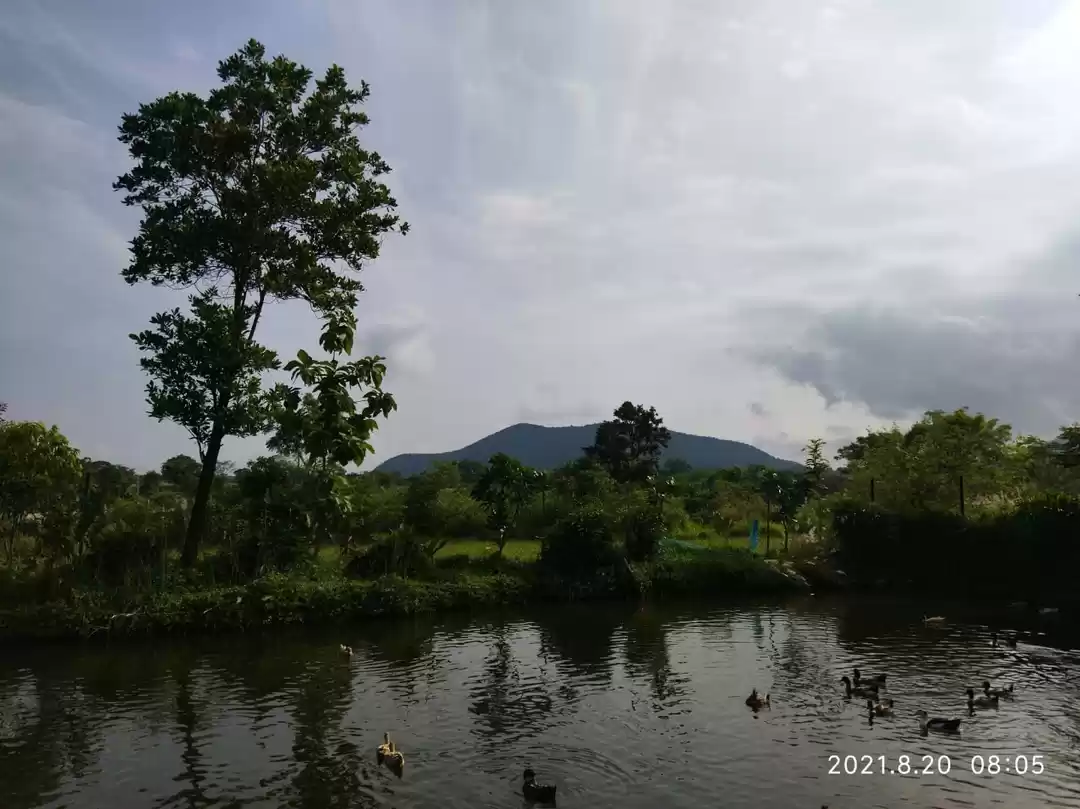 Photo of Shankarda, Jharkhand