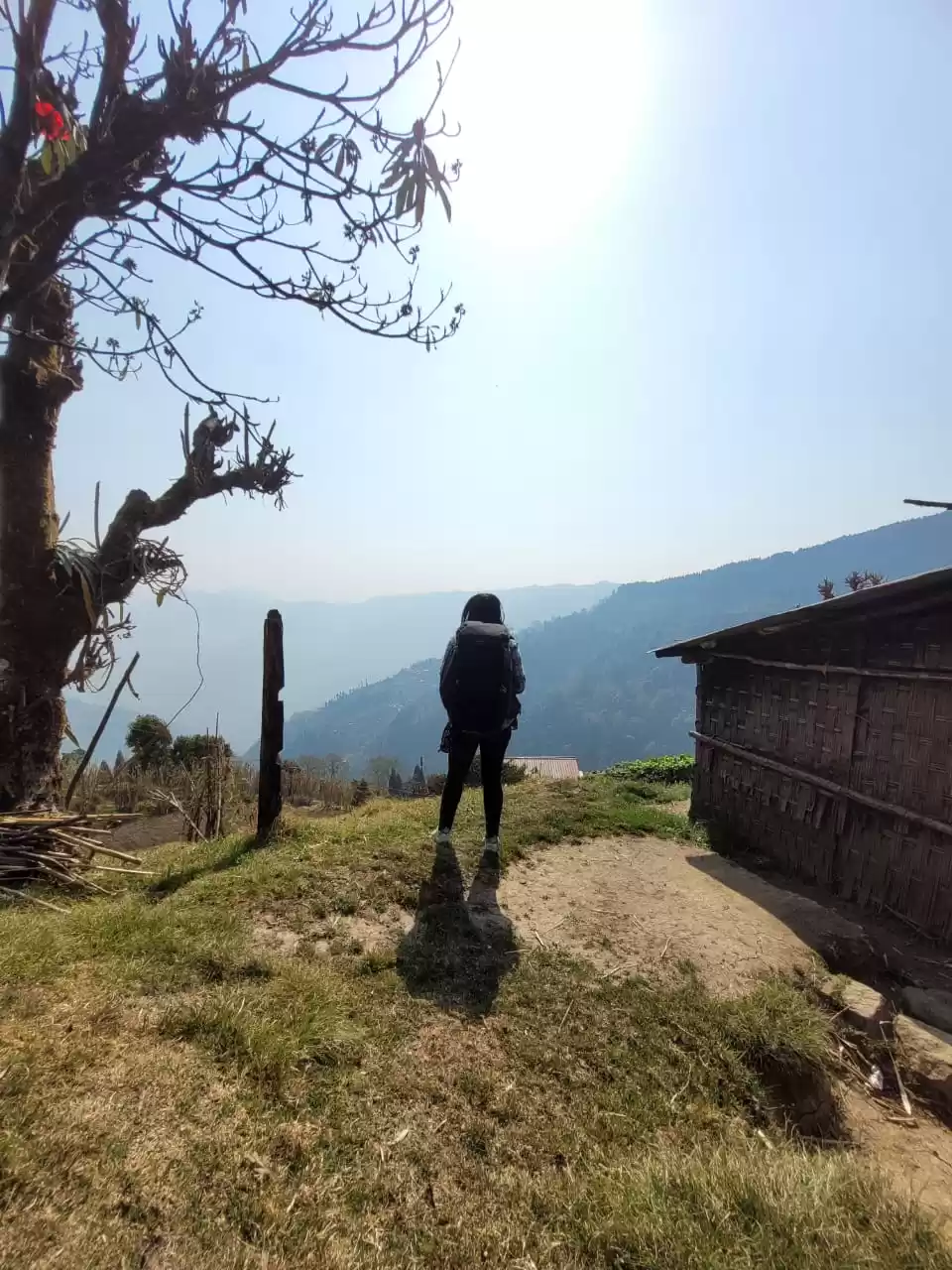 Photo of Gurdum: to discover 