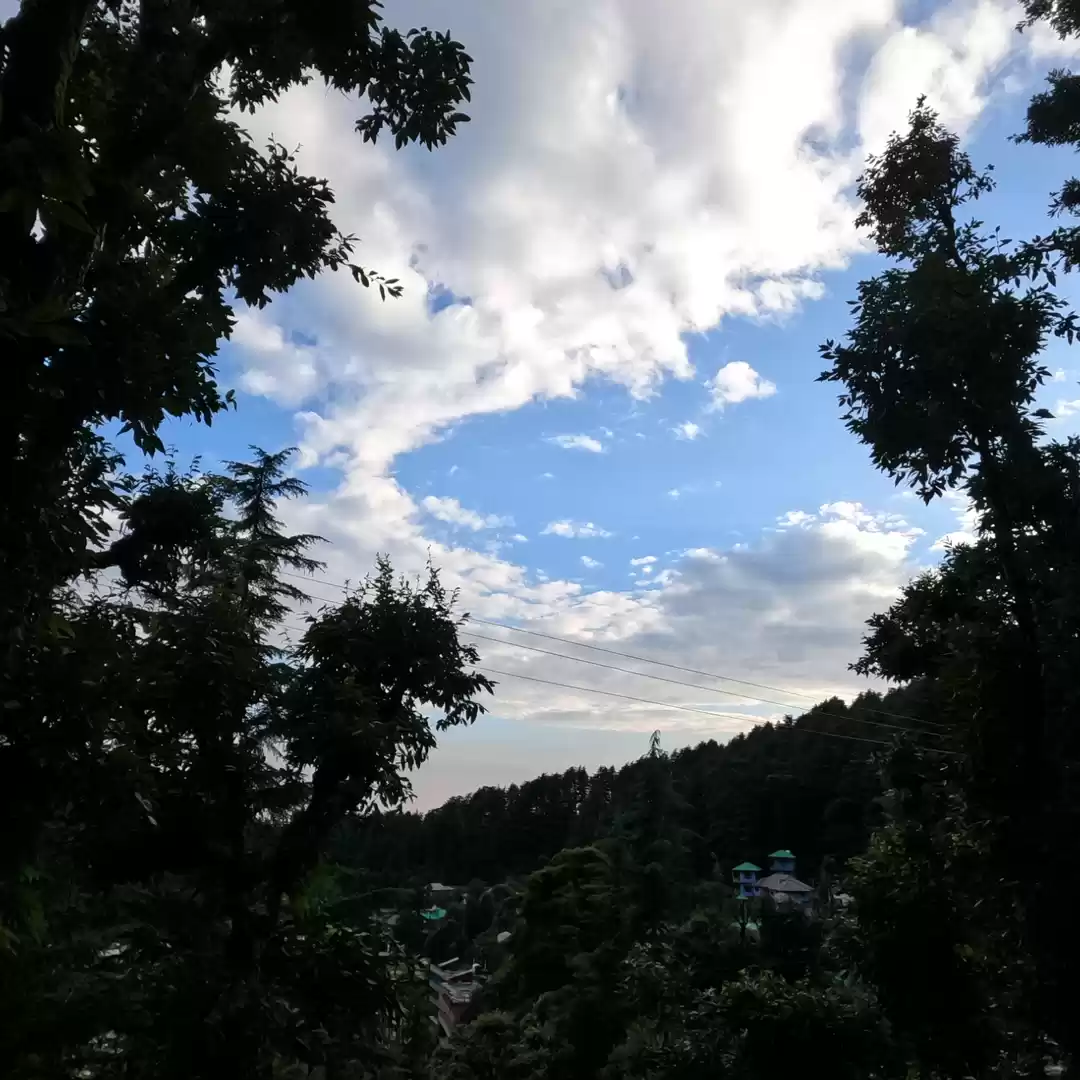 Photo of Vikas Ghanata