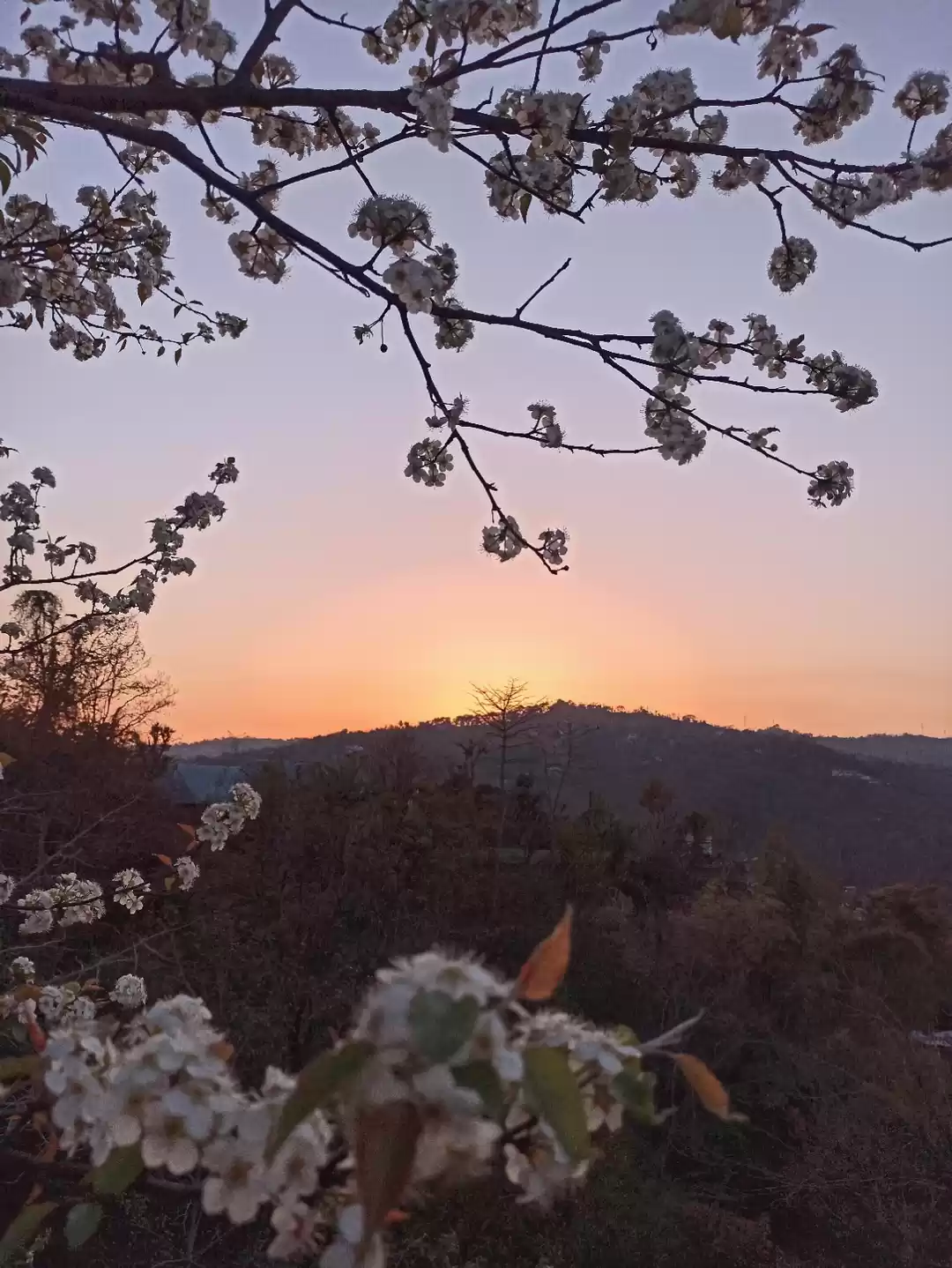 Photo of Sunset