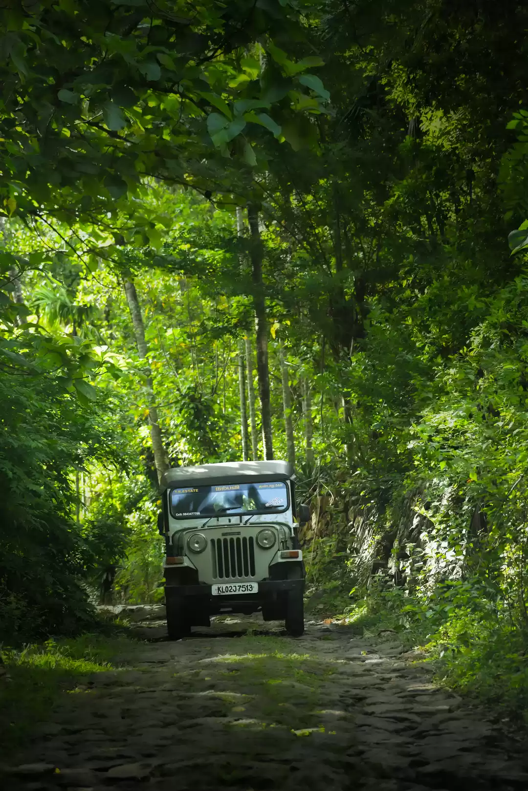 Photo of JEEP SAFARI , GUNDAR